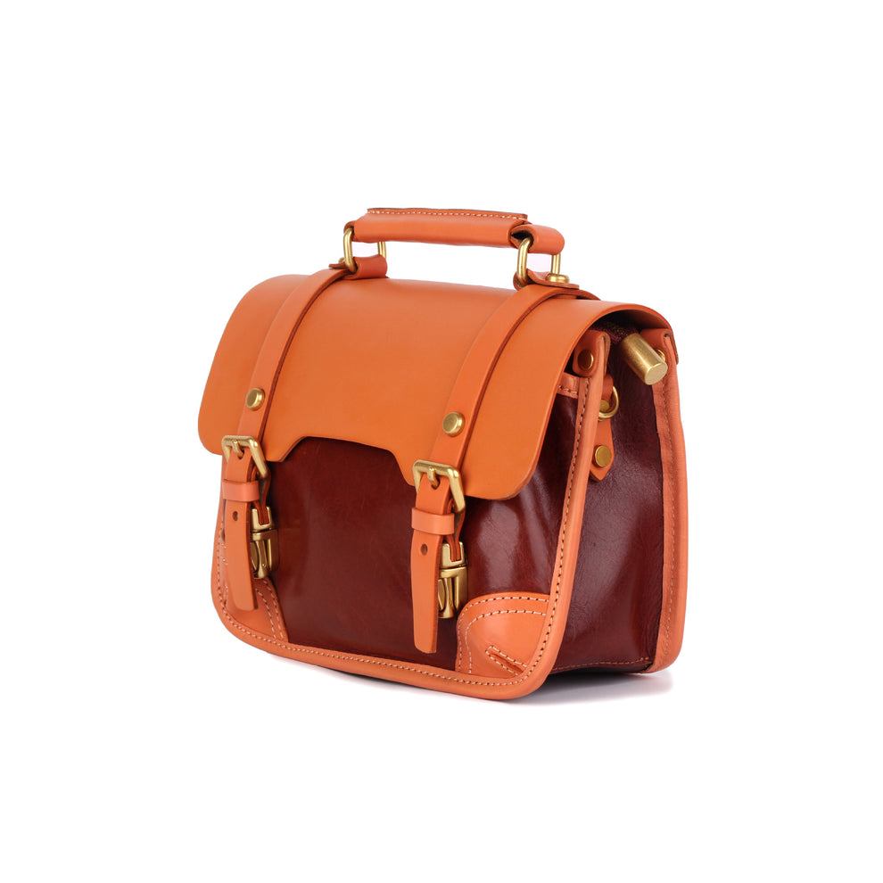 Shiefer Mini Satchel Handbag